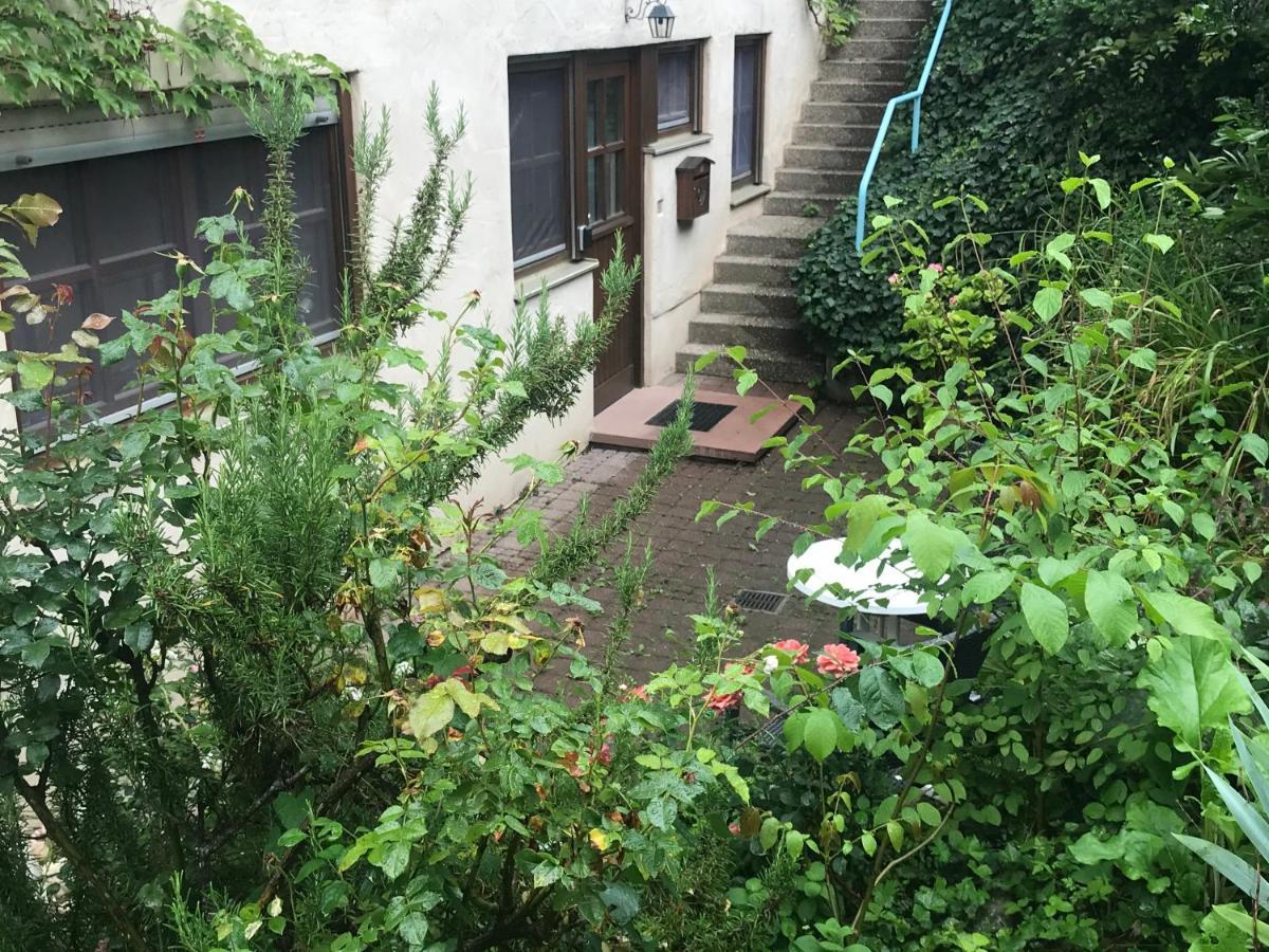 Gartenwohnung Gundelfingen  Exterior photo